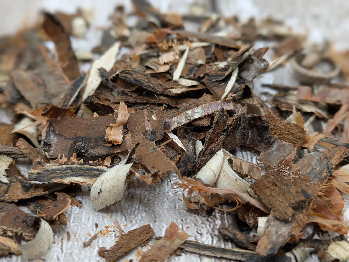 Birch bark pouch for spell or rituals or camp kindling.