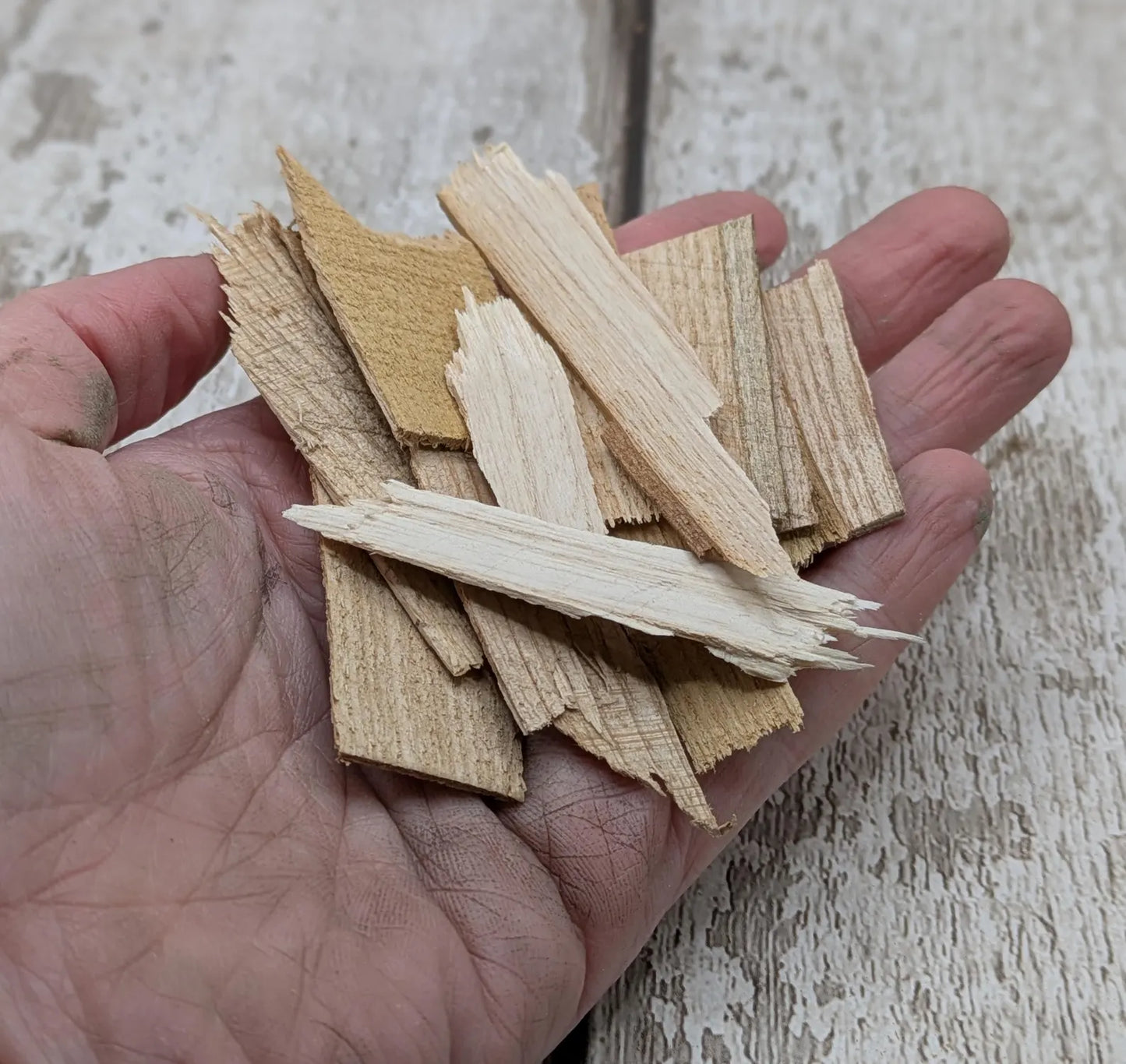 Sweet chesnut wood broken veener pieces for spell and ritual or camping kits.
