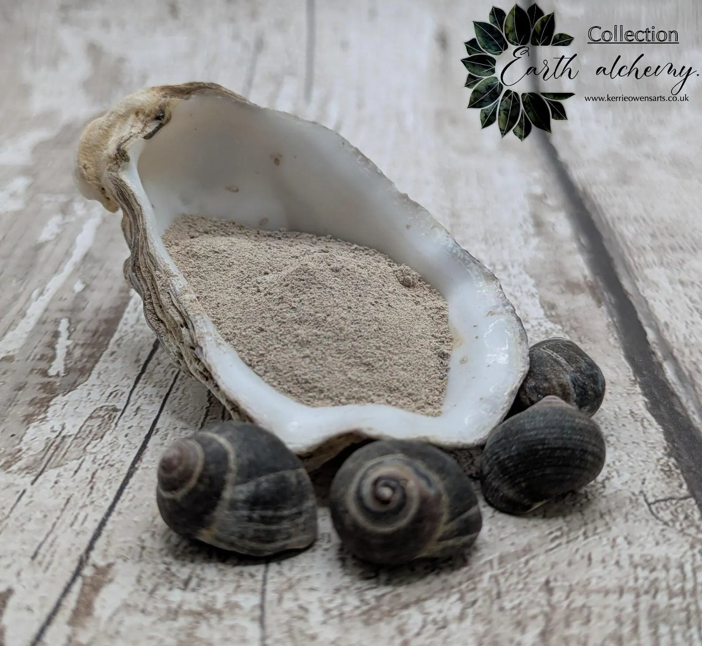 Unrefined powdered brown periwinkle shell paint pigment.