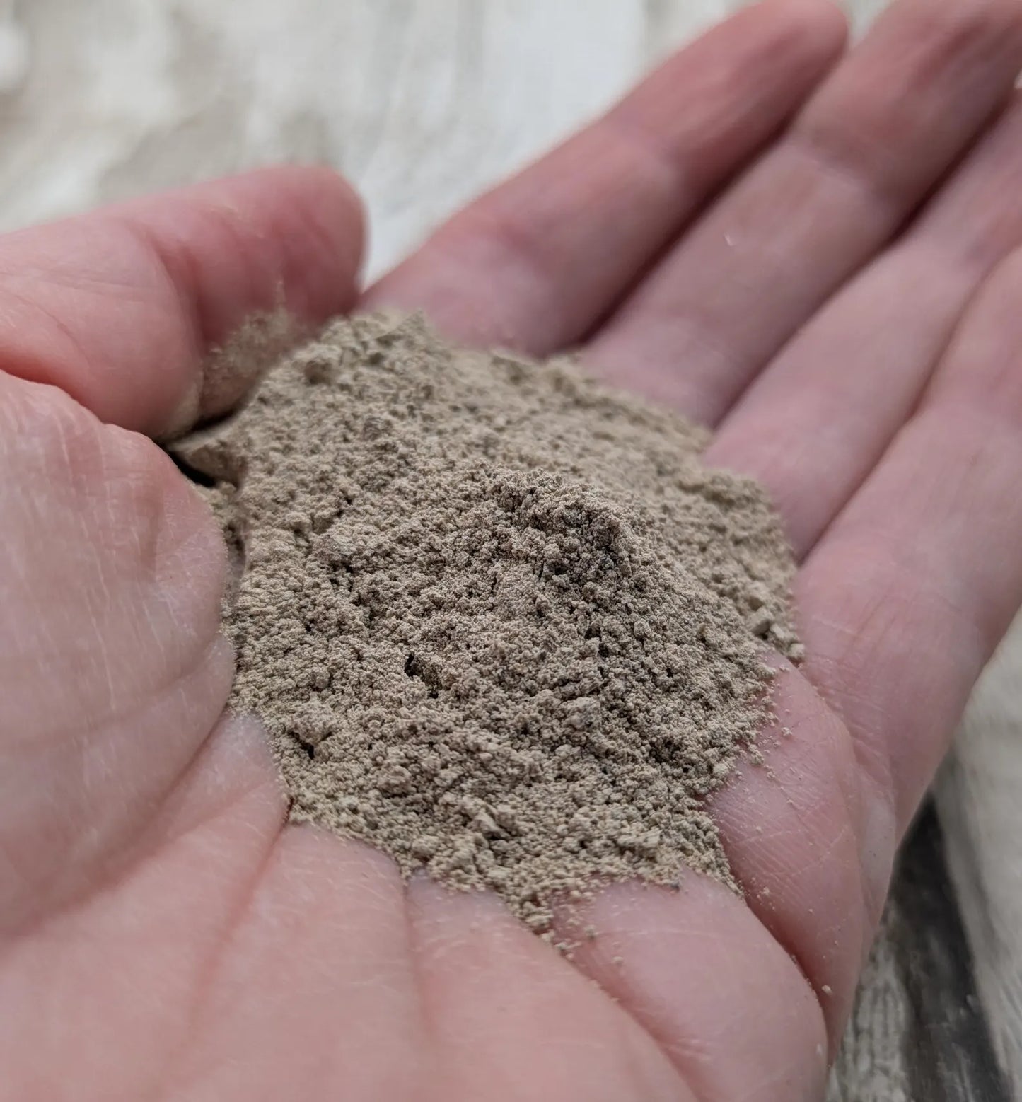 Unrefined powdered brown periwinkle shell paint pigment.