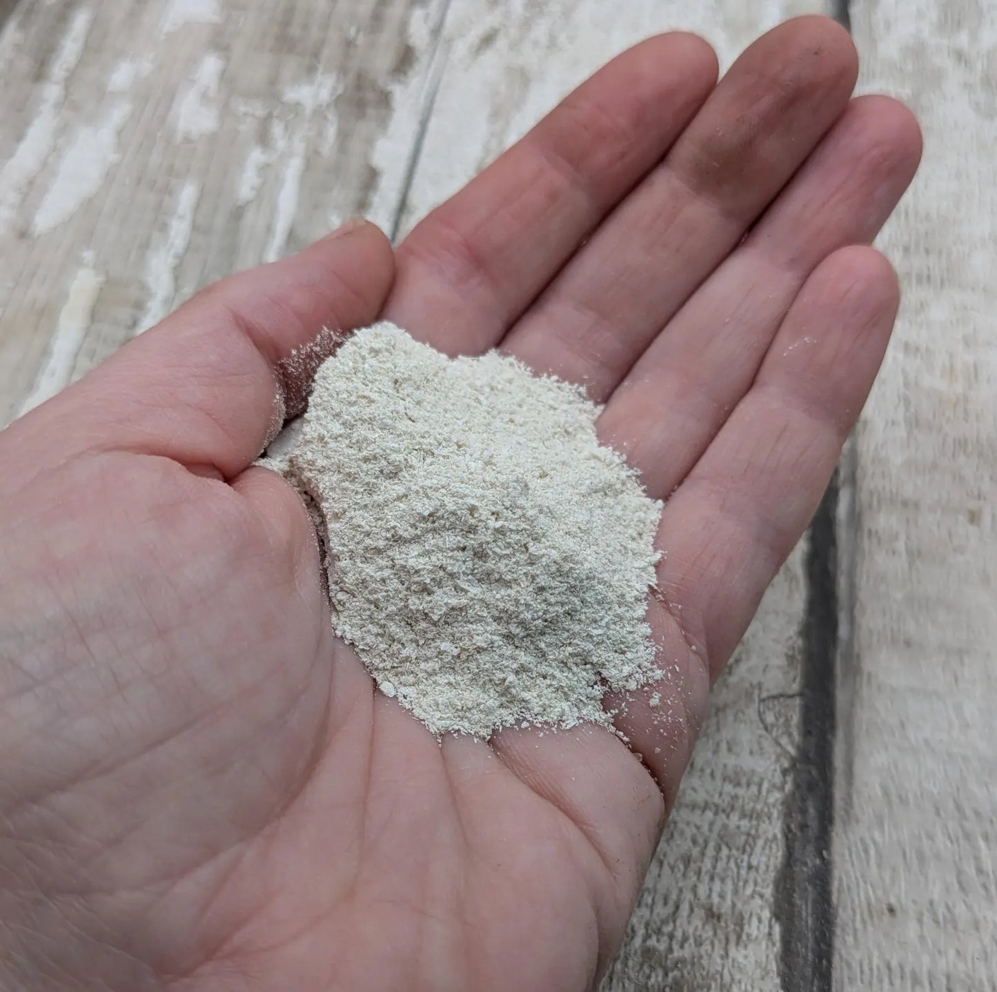 Unrefined powdered peach native oyster shell paint pigment.