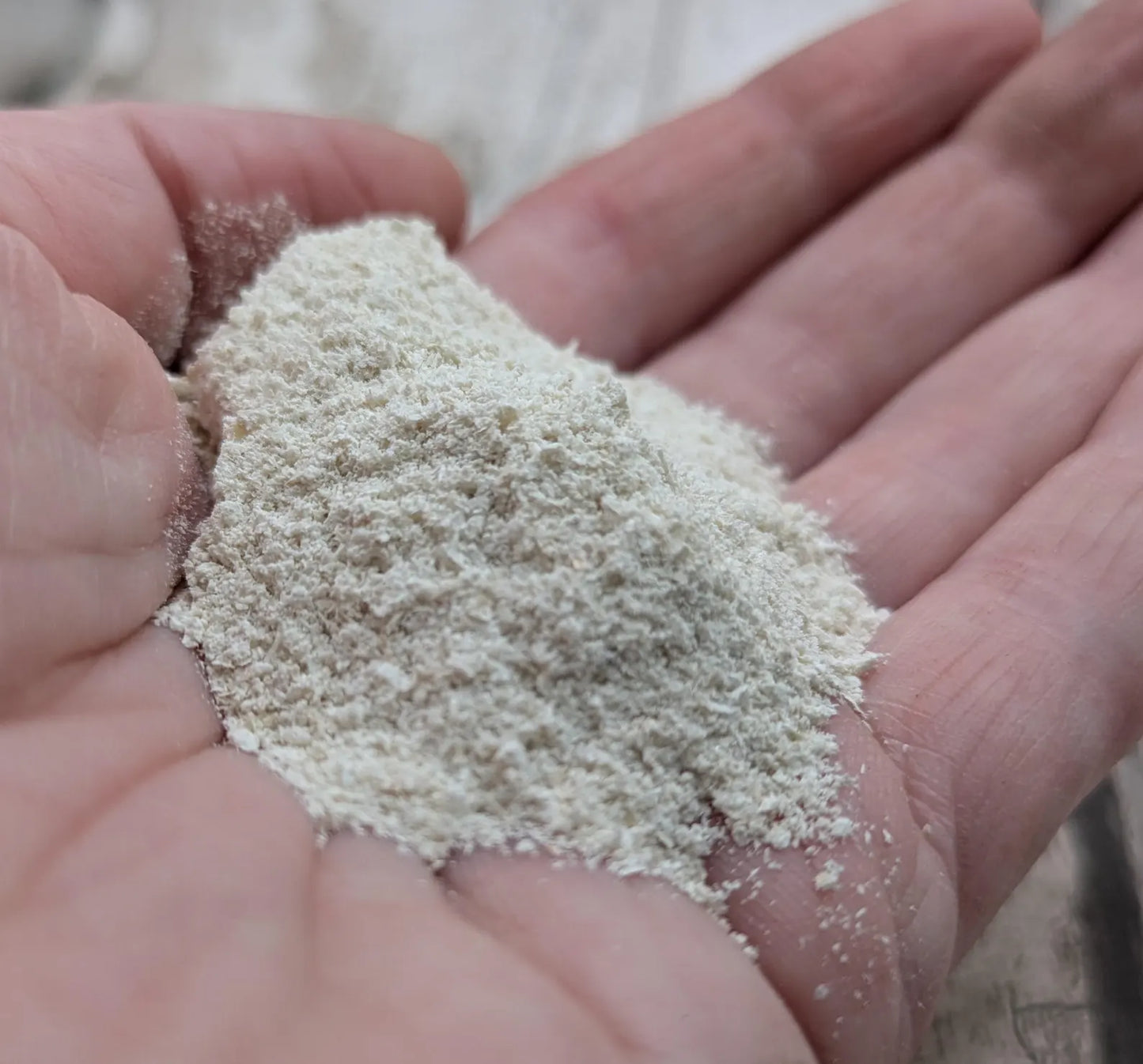 Unrefined powdered peach native oyster shell paint pigment.