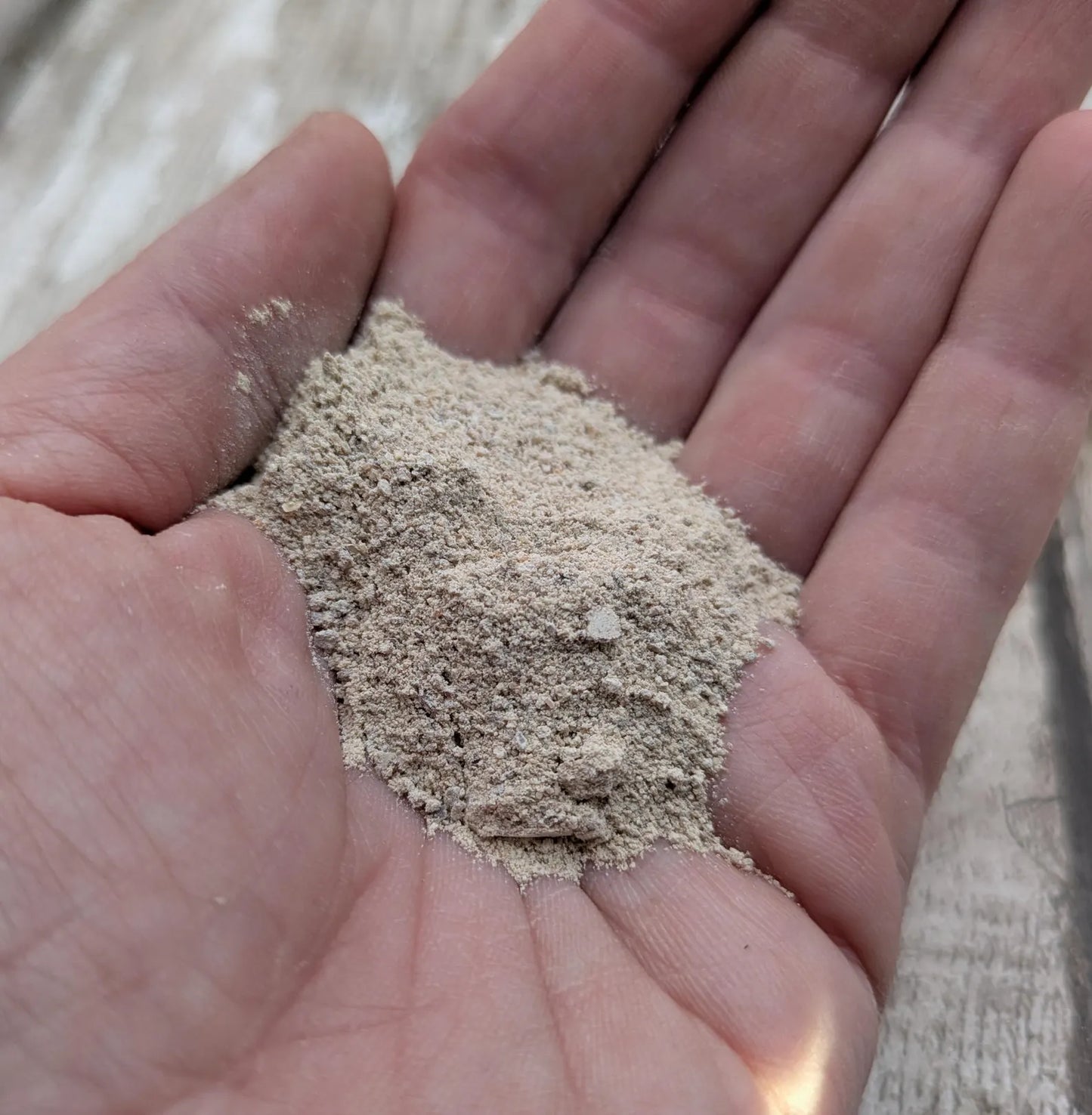 Unrefined powdered pink periwinkle shell pigment.