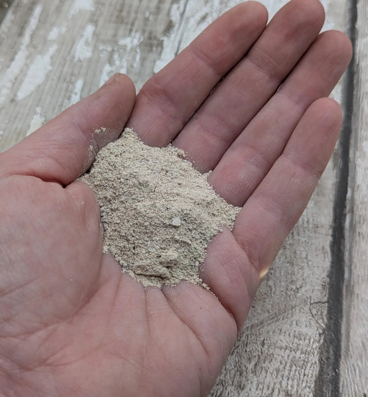 Unrefined powdered pink periwinkle shell pigment.