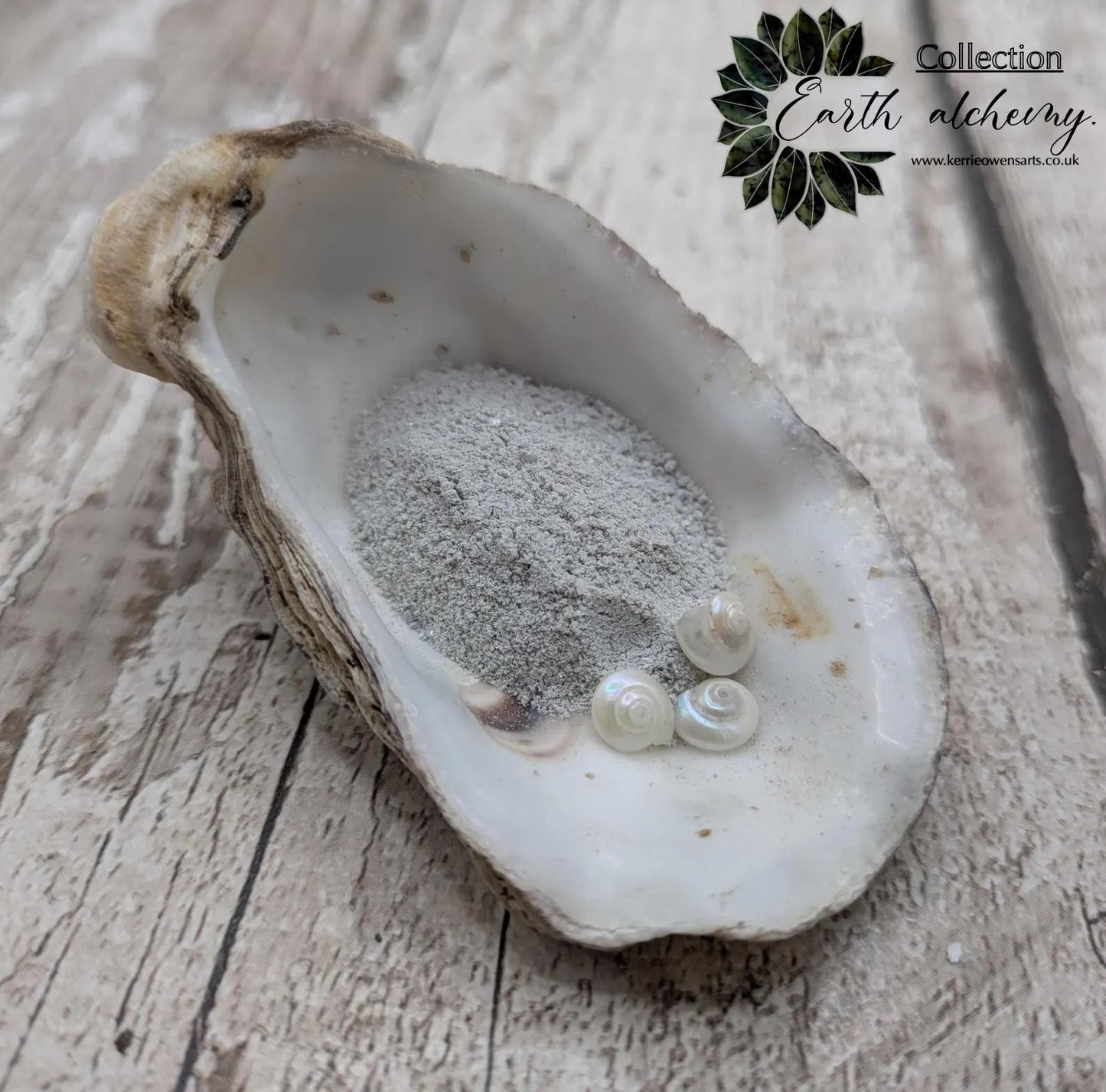 10ml powdered white button top shell pigment.