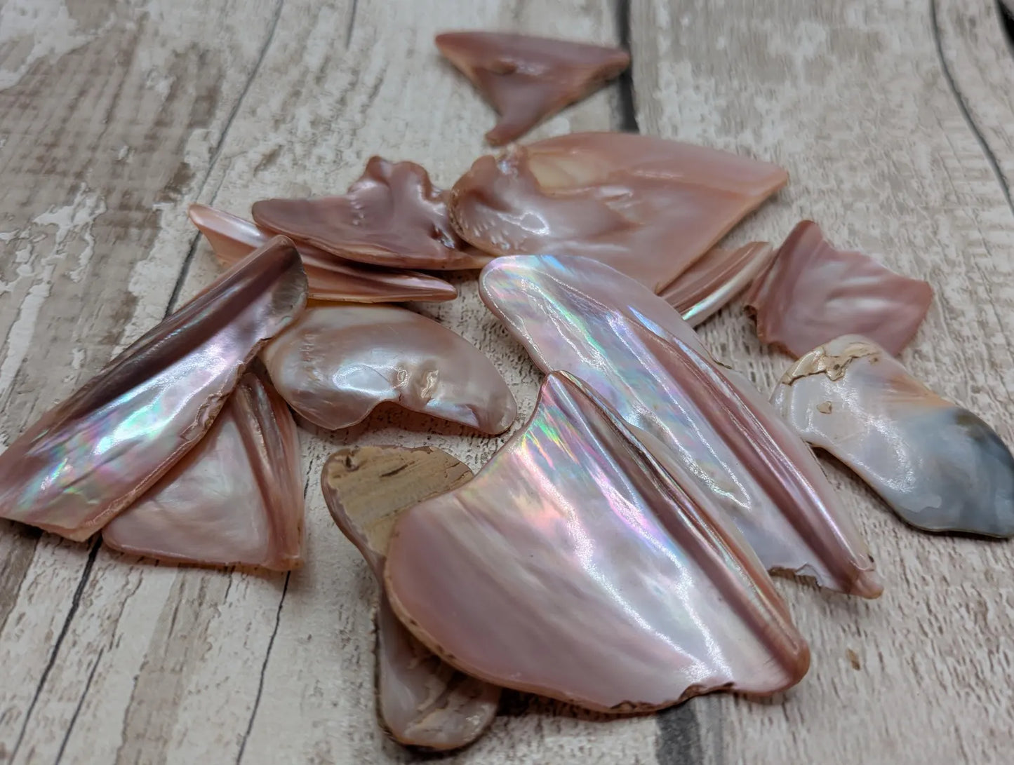 One pouch of New Zealand Pink Freshwater Mussel Shell Pieces – Natural Freeform Tumbled Shells for Craft, Inlay & Jewellery.