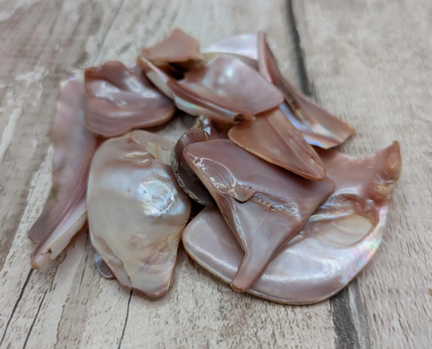 One pouch of New Zealand Pink Freshwater Mussel Shell Pieces – Natural Freeform Tumbled Shells for Craft, Inlay & Jewellery.