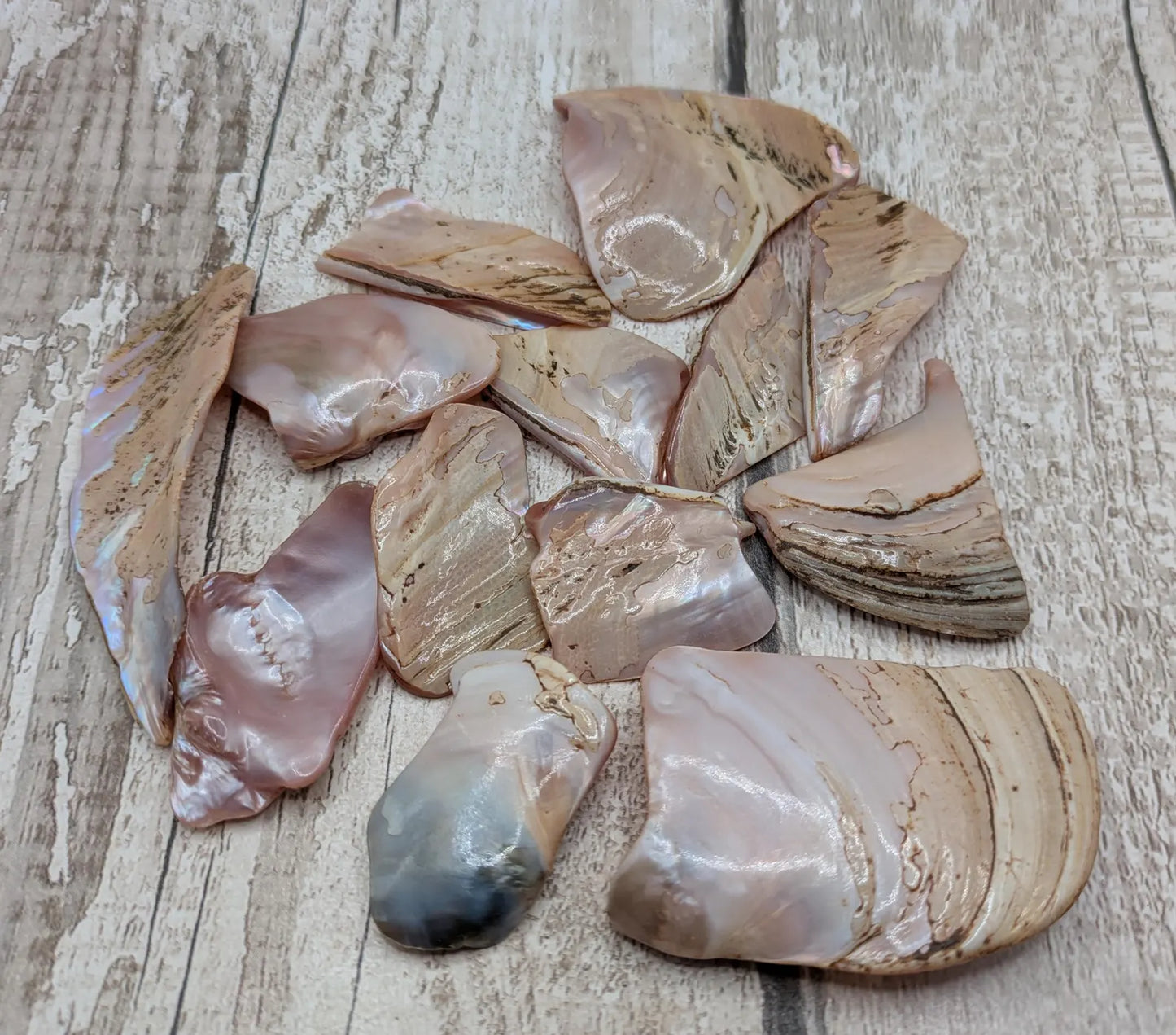 One pouch of New Zealand Pink Freshwater Mussel Shell Pieces – Natural Freeform Tumbled Shells for Craft, Inlay & Jewellery.