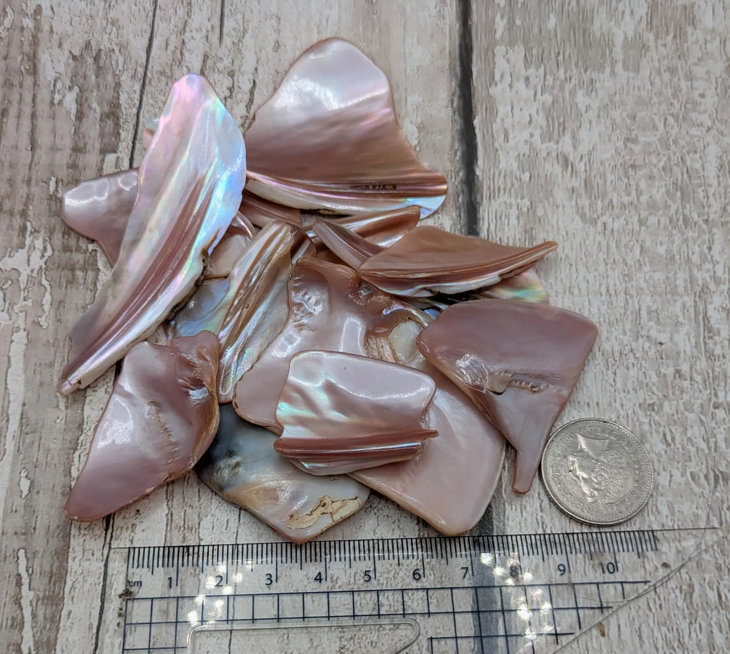 One pouch of New Zealand Pink Freshwater Mussel Shell Pieces – Natural Freeform Tumbled Shells for Craft, Inlay & Jewellery.