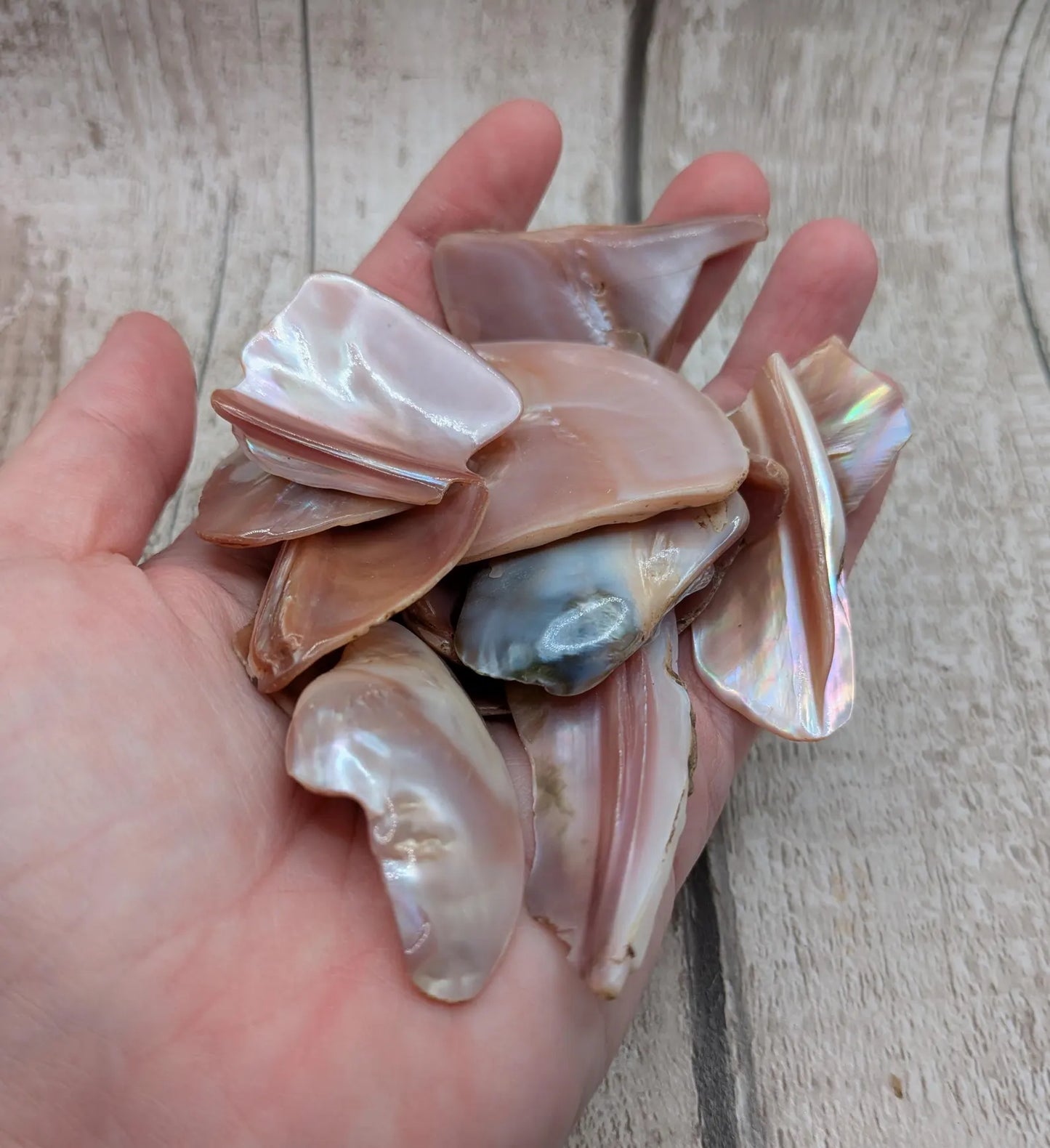 One pouch of New Zealand Pink Freshwater Mussel Shell Pieces – Natural Freeform Tumbled Shells for Craft, Inlay & Jewellery.