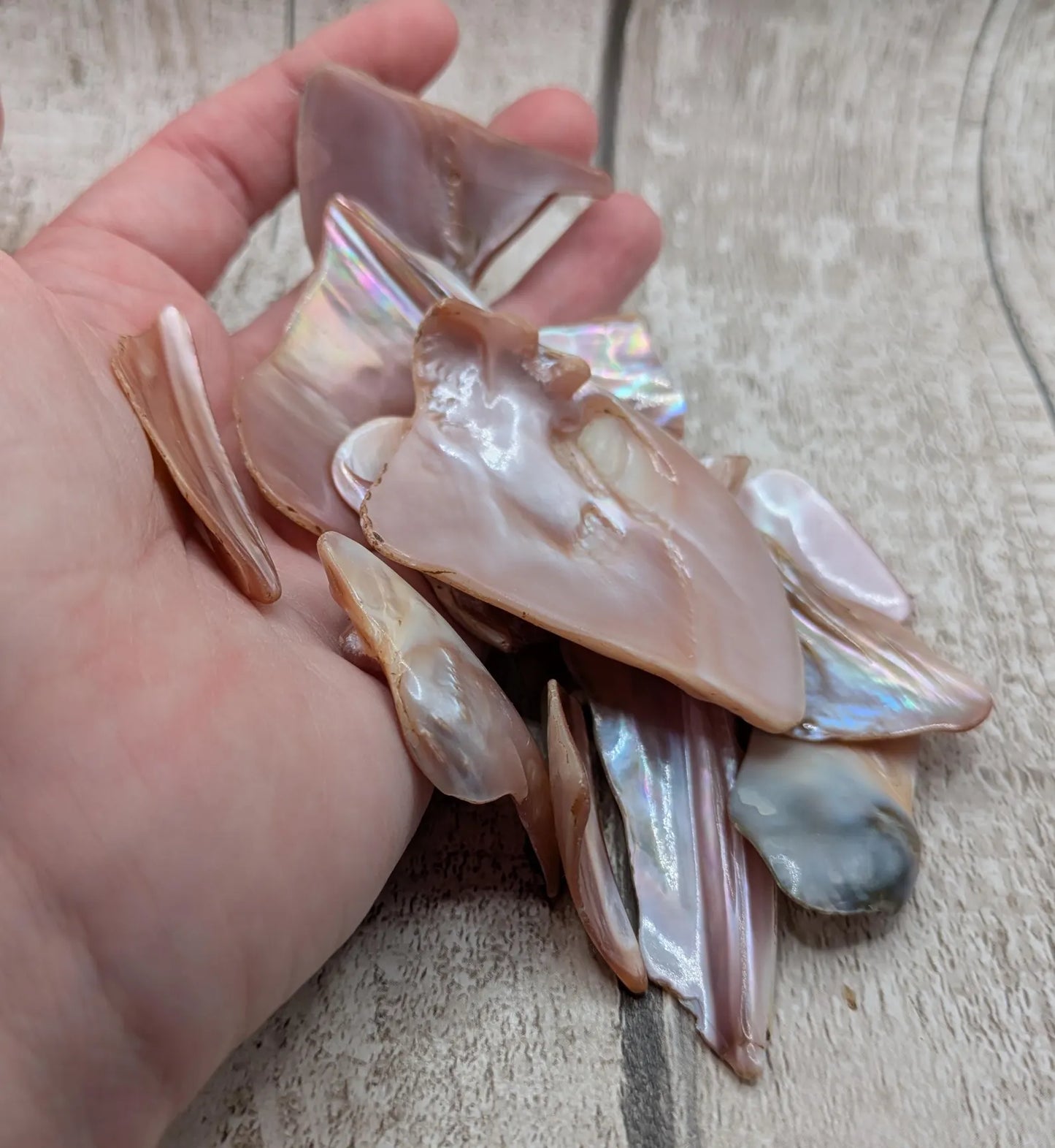One pouch of New Zealand Pink Freshwater Mussel Shell Pieces – Natural Freeform Tumbled Shells for Craft, Inlay & Jewellery.