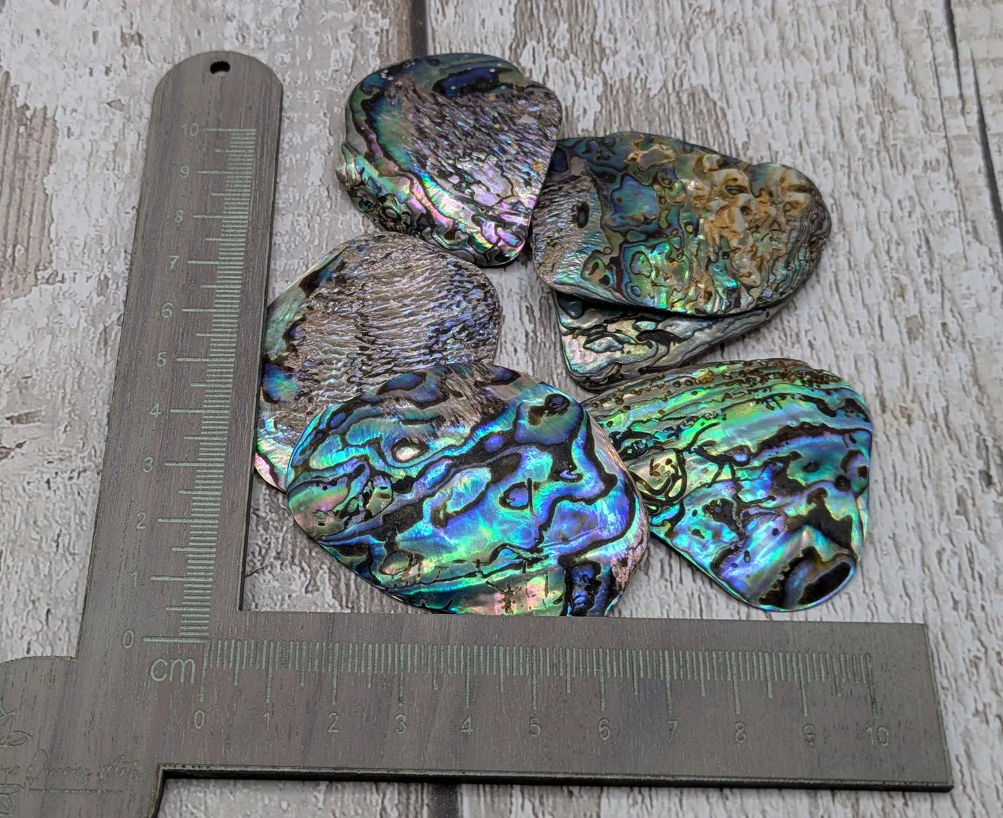 6 wild new Zealand rainbow pāua abalone shell pieces, naturally tumbled, undrilled.