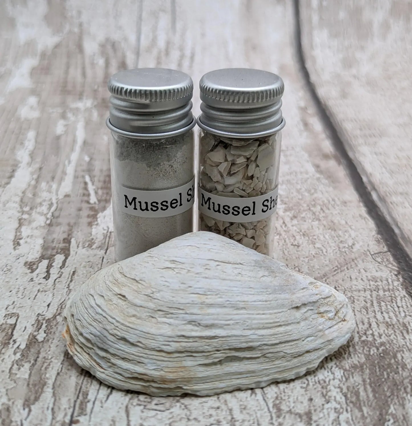 Fine Ground White Mussel Shell Powder – Ultra-Fine Natural Pigment for Paints, Inlays & Rituals.