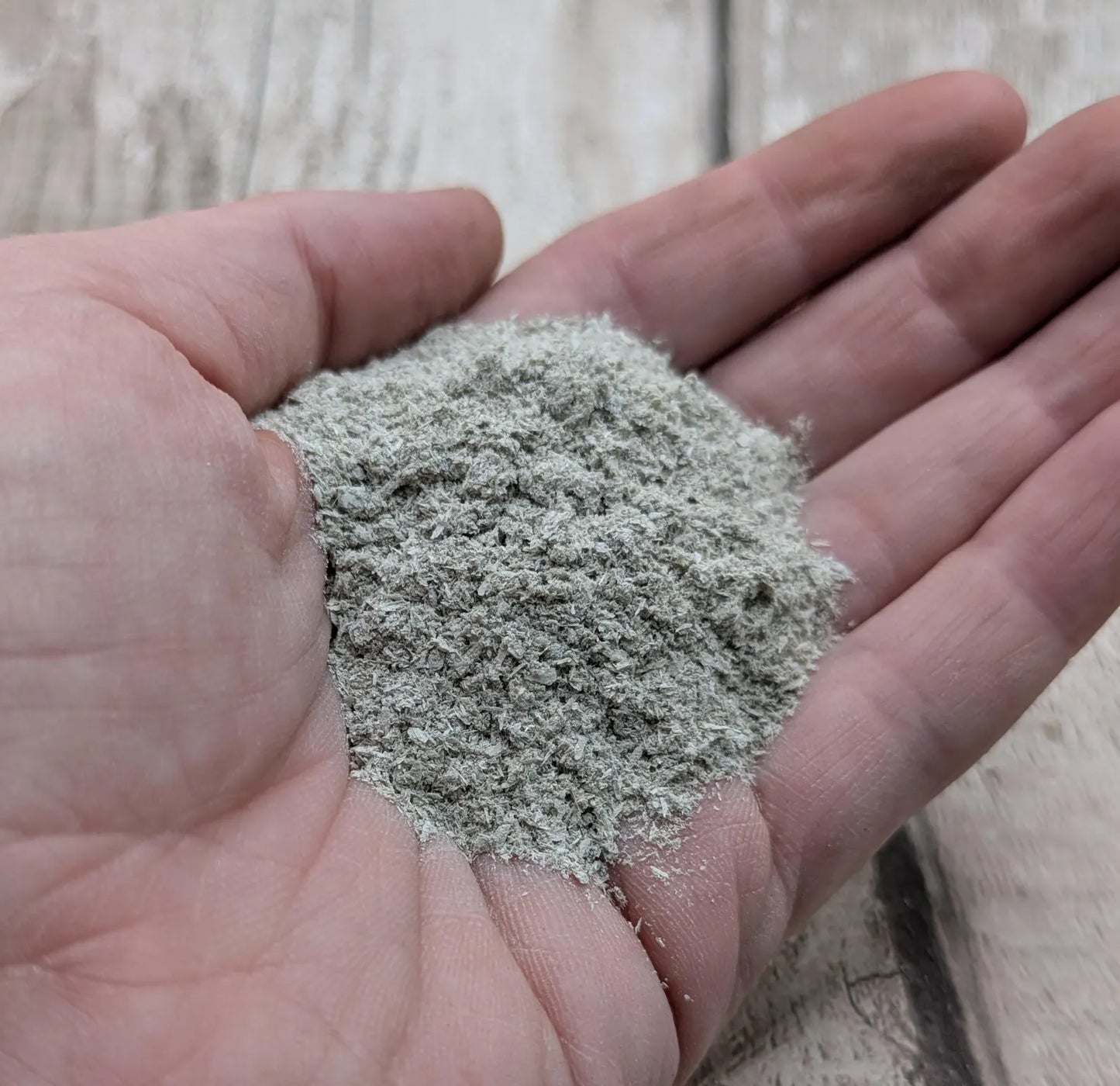 Fine Ground Native Oyster Shell Powder – Unrefined Coastal Pigment for Art, Ritual & Inlay – 10ml Vial