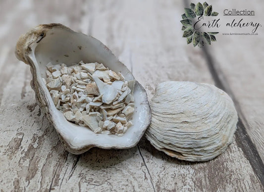 Coarse Ground White Mussel Shell Powder – Natural Pearlescent Pigment for Art, Resin & Inlay.
