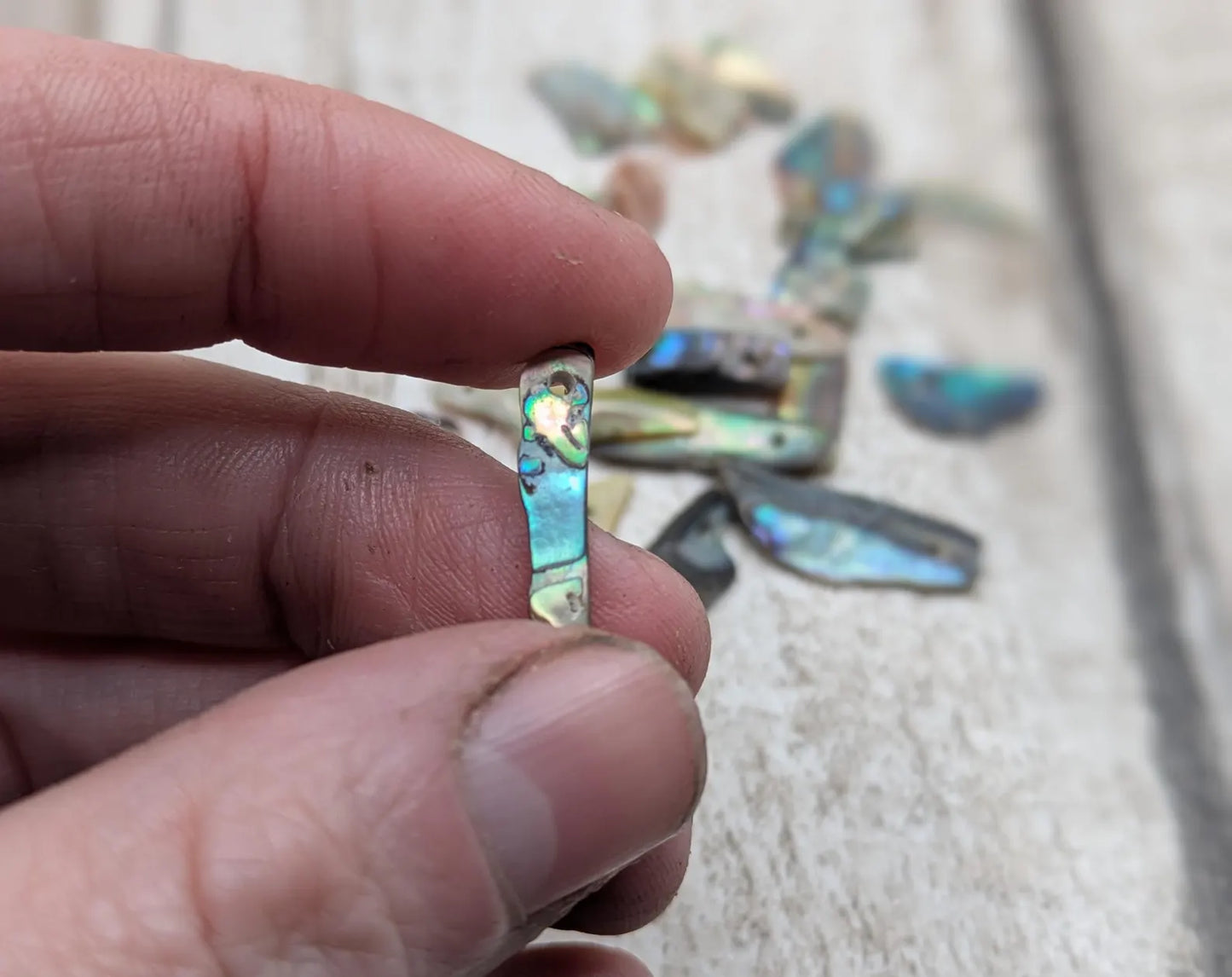 Tiny New Zealand abalone Pāua shell top drilled beads.