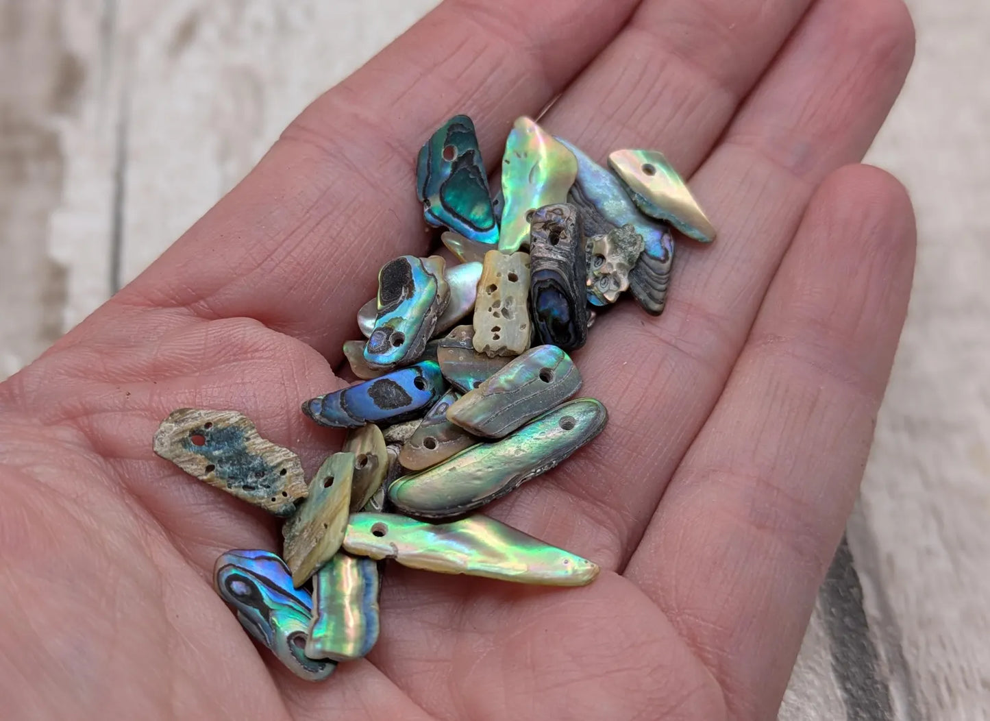 Tiny New Zealand abalone Pāua shell top drilled beads.
