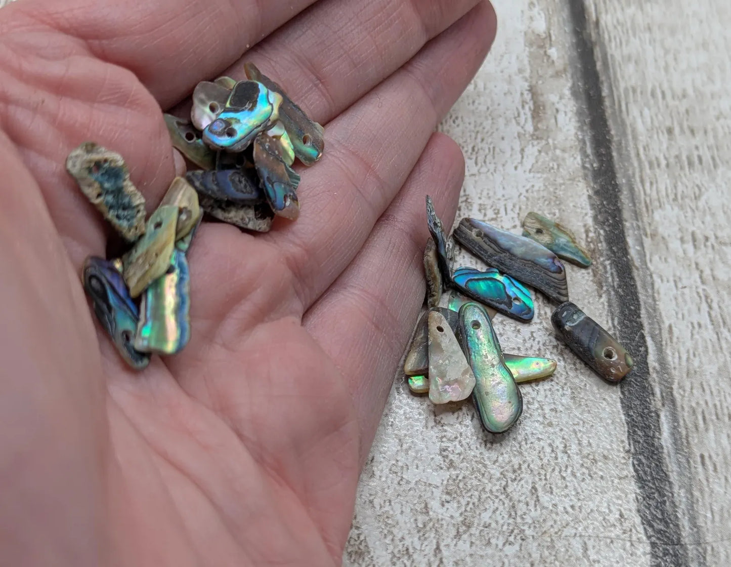 Tiny New Zealand abalone Pāua shell top drilled beads.