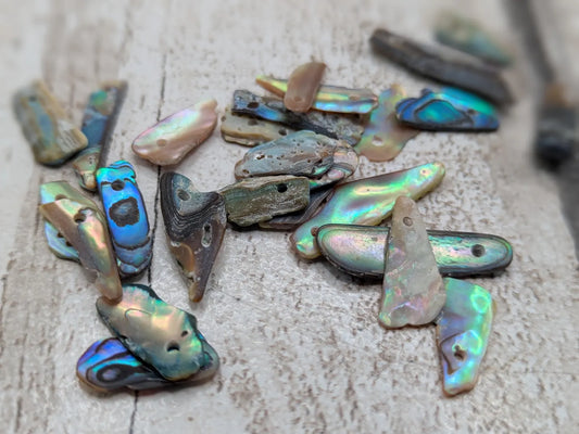 Tiny New Zealand abalone Pāua shell top drilled beads.