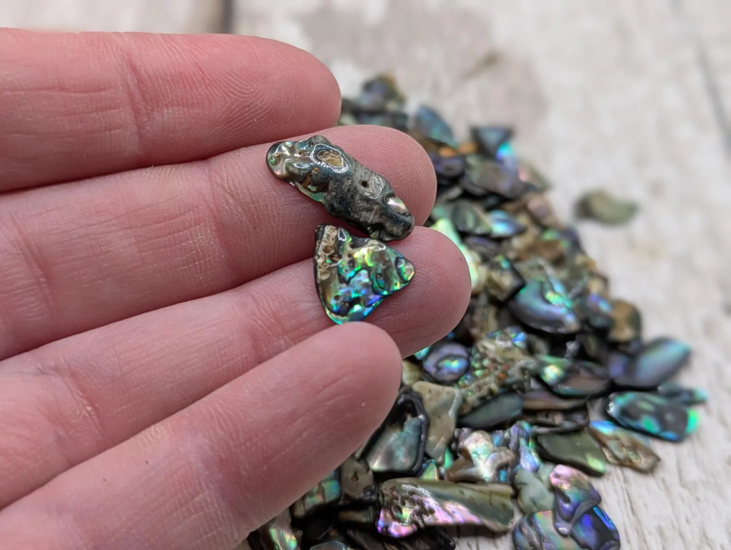 1 pouch New Zealand rainbow pāua abalone shell tumbled chips.