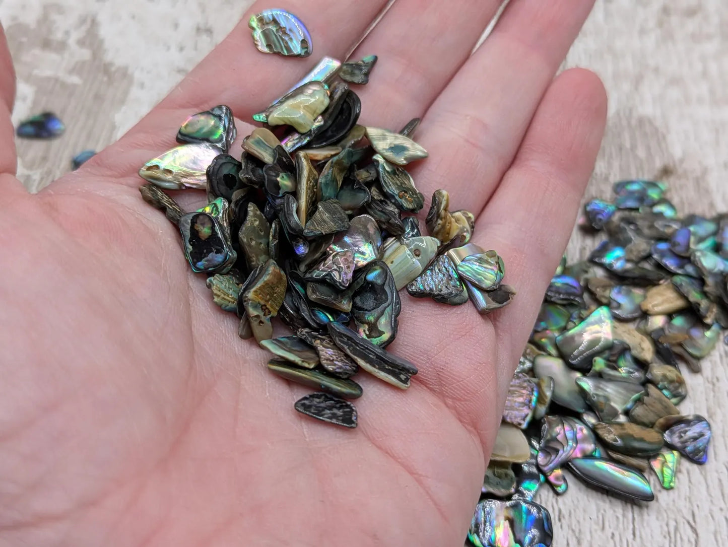 1 pouch New Zealand rainbow pāua abalone shell tumbled chips.