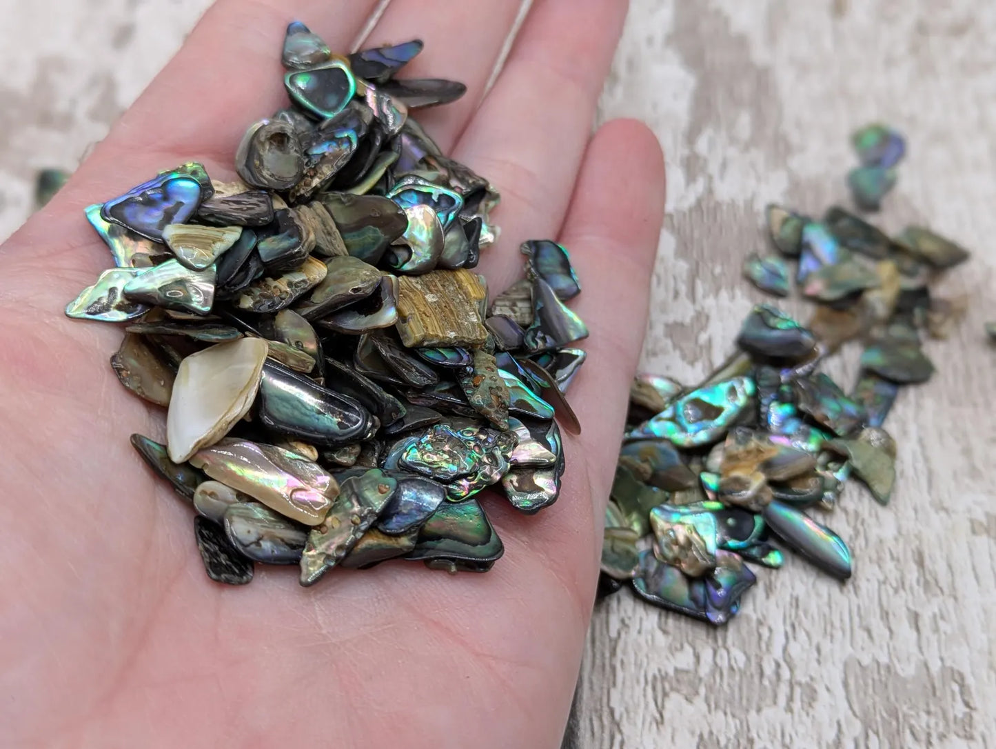 1 pouch New Zealand rainbow pāua abalone shell tumbled chips.