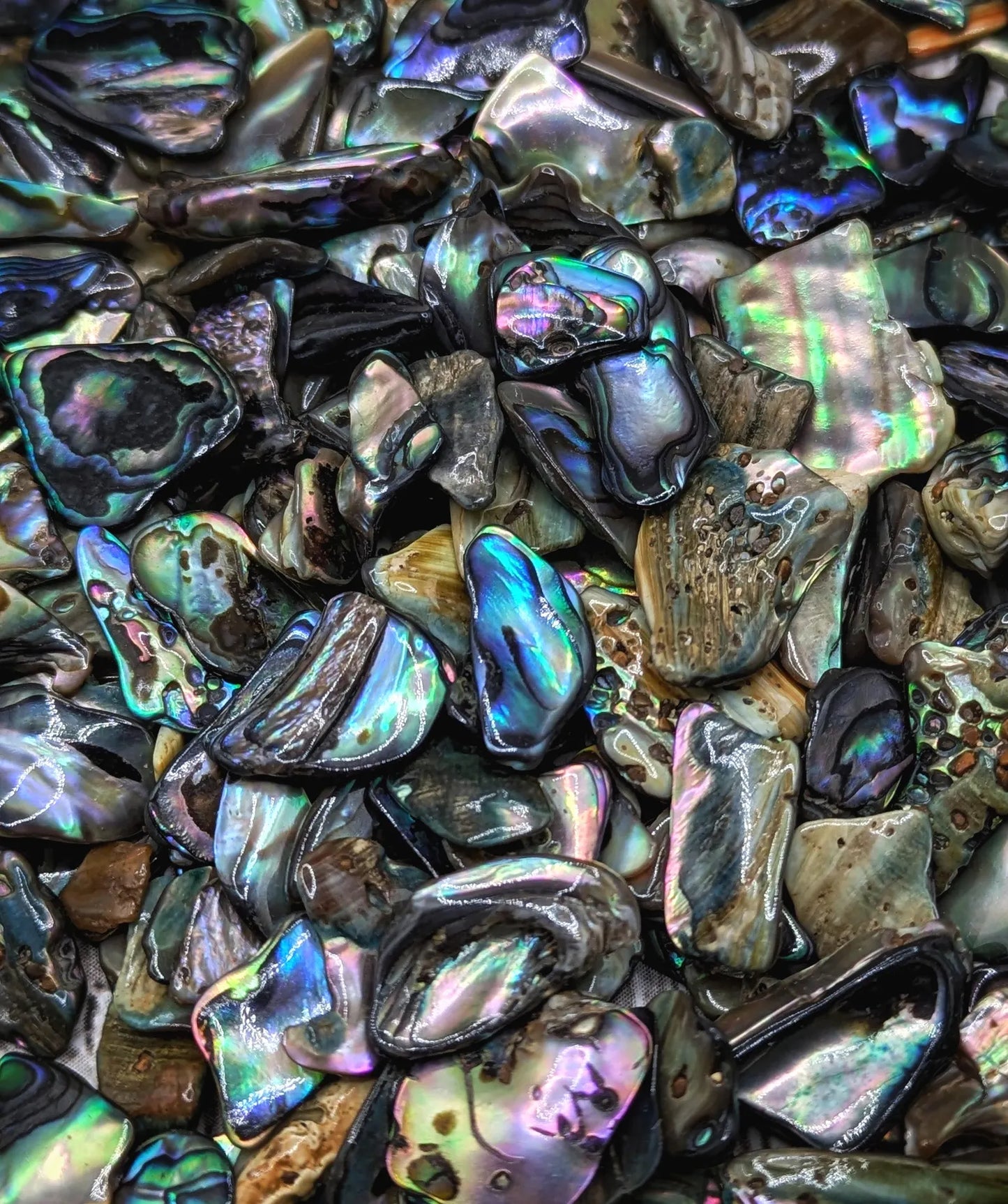 1 pouch New Zealand rainbow pāua abalone shell tumbled chips.