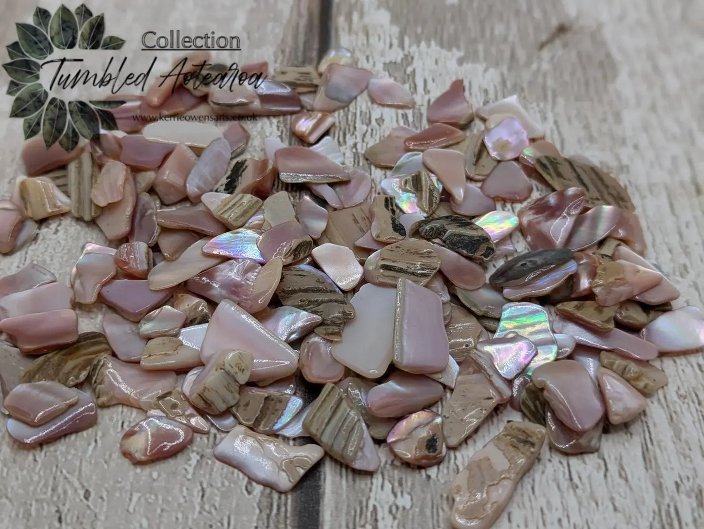 One pouch new Zealand pink fresh water mussel chips.