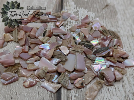 One pouch new Zealand pink fresh water mussel chips.