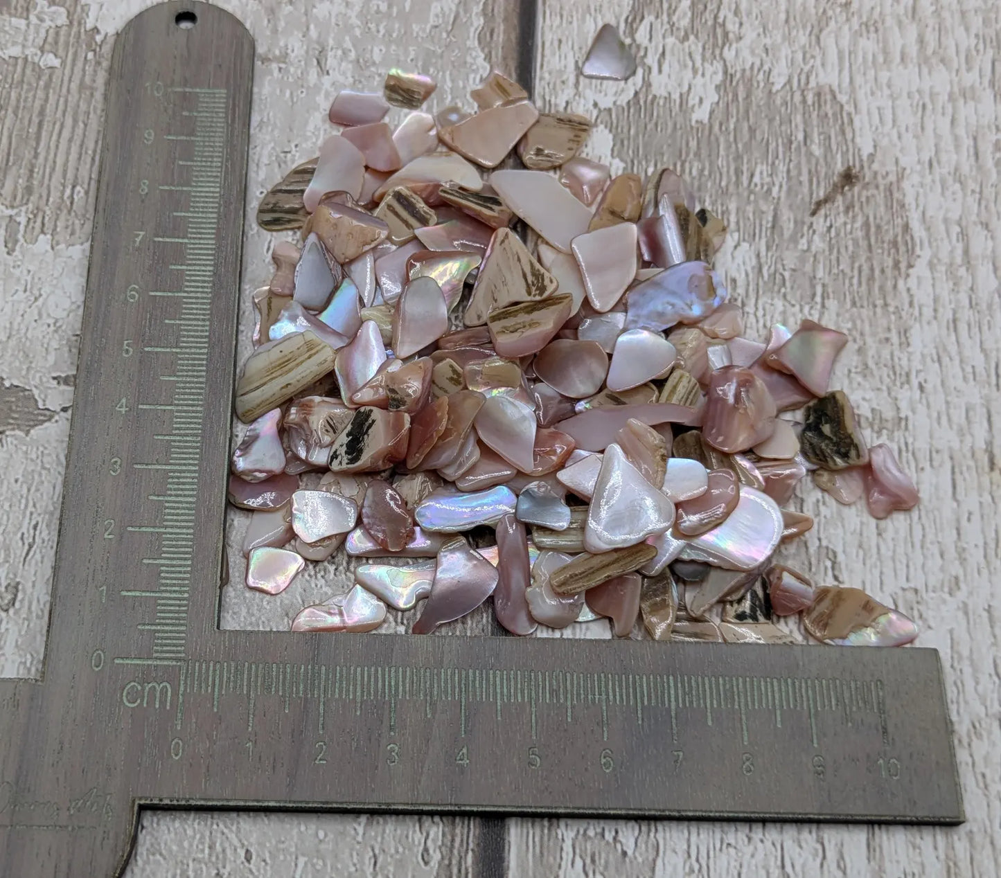 One pouch new Zealand pink fresh water mussel chips.