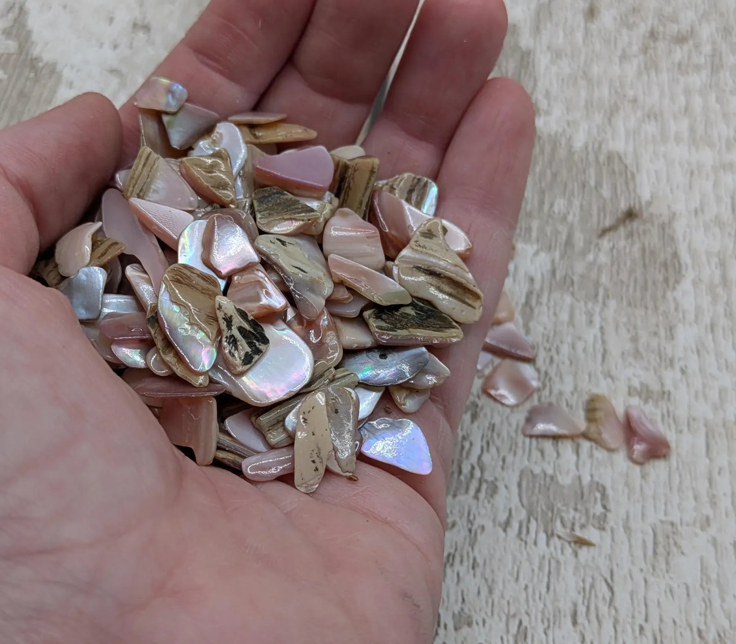 One pouch new Zealand pink fresh water mussel chips.