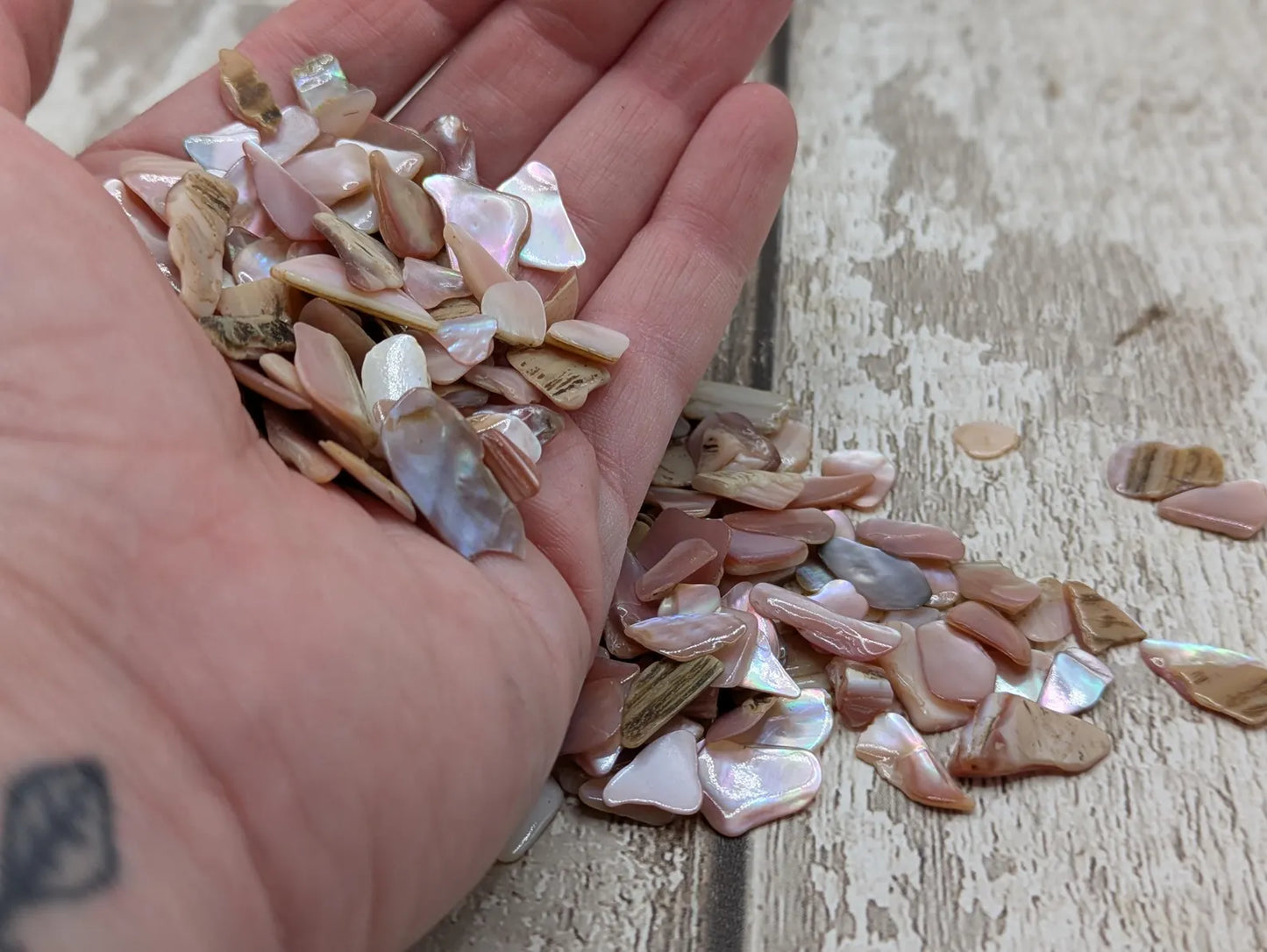 One pouch new Zealand pink fresh water mussel chips.
