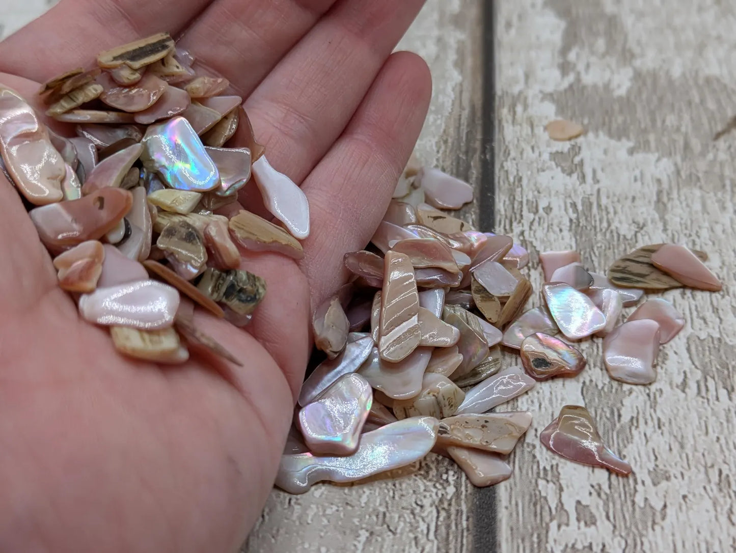 One pouch new Zealand pink fresh water mussel chips.