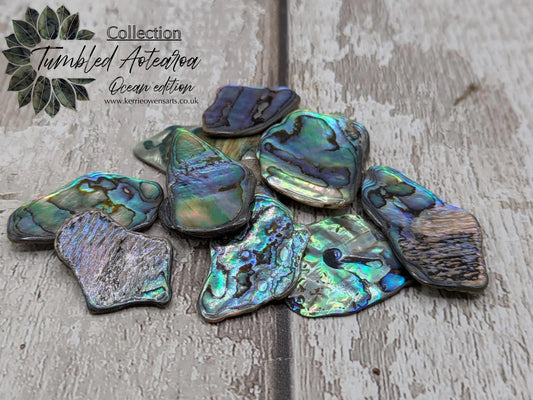 10 wild new Zealand rainbow pāua abalone shell pieces, naturally tumbled, undrilled.