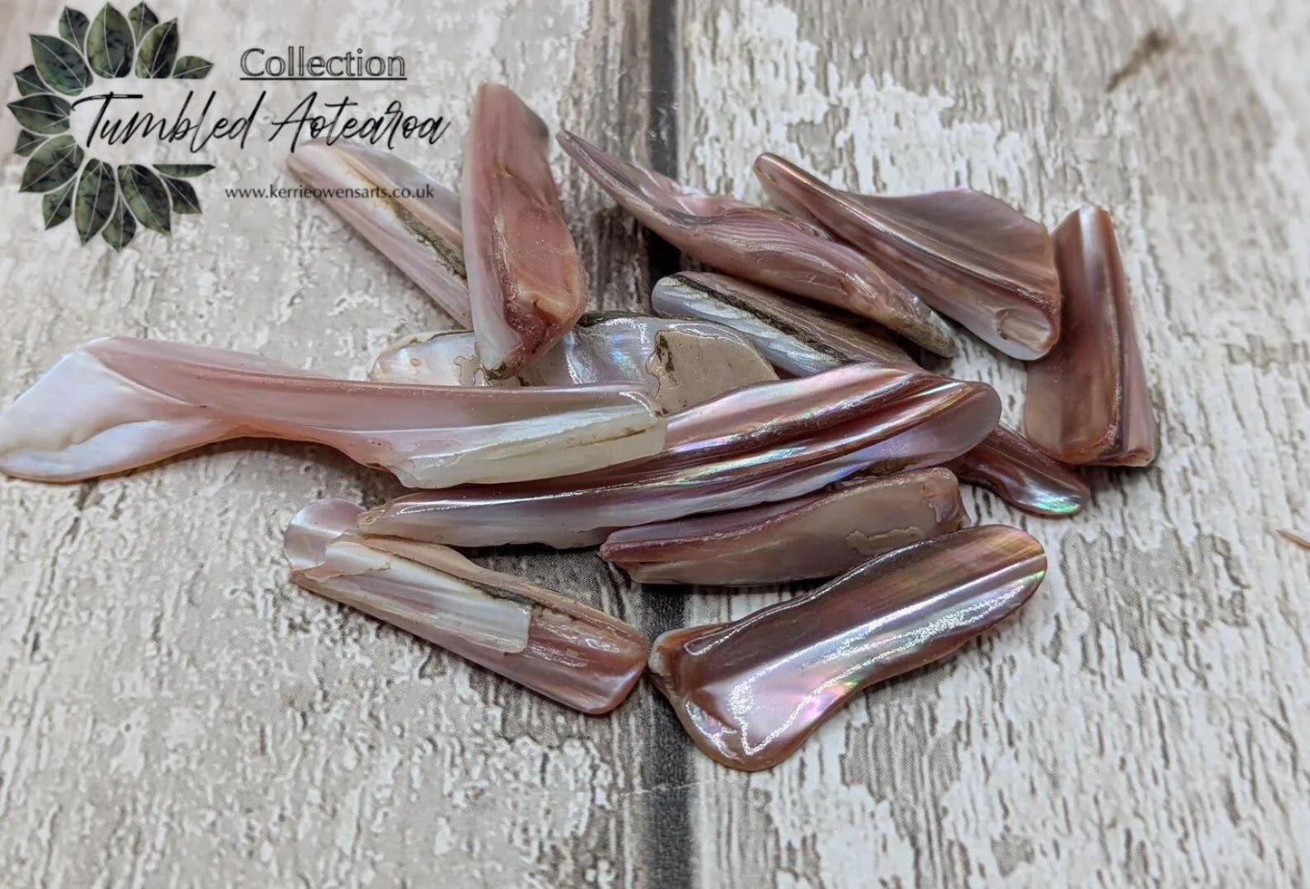 One pouch of New Zealand pink fresh water mussel shell odds.