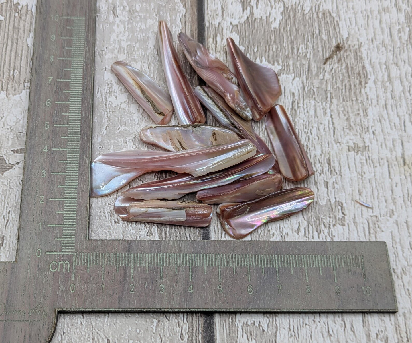 One pouch of New Zealand pink fresh water mussel shell odds.