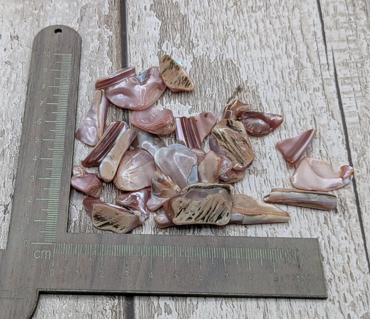 New Zealand pink fresh water mussel shell odds shapes pouch.