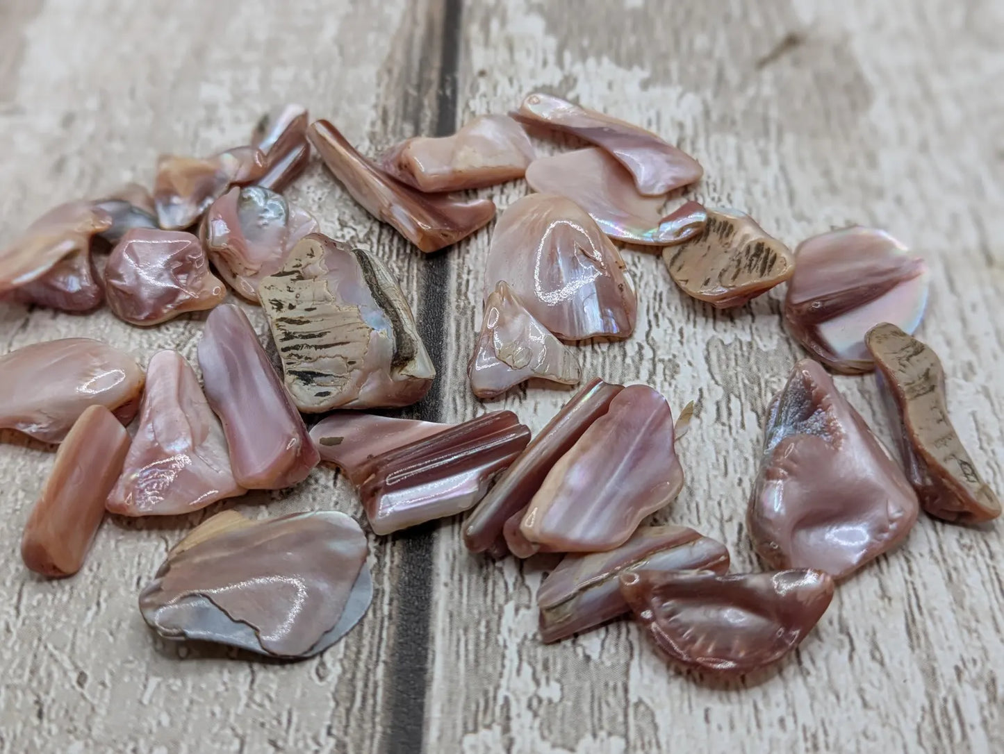 New Zealand pink fresh water mussel shell odds shapes pouch.