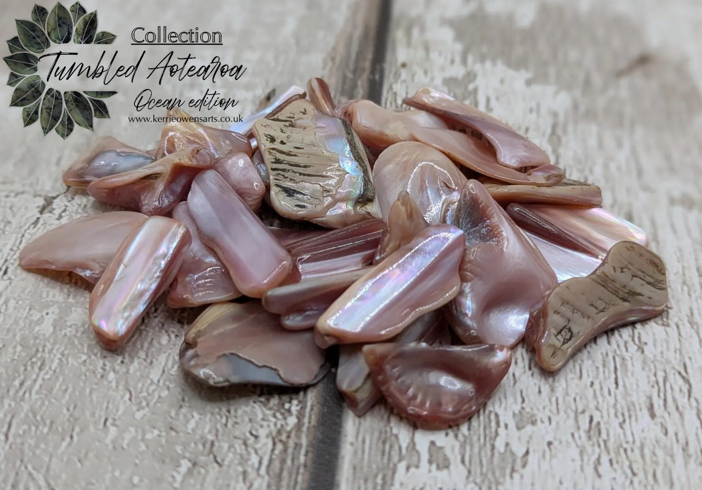 New Zealand pink fresh water mussel shell odds shapes pouch.