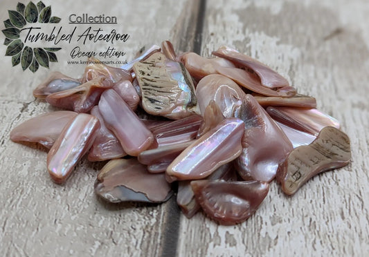 New Zealand pink fresh water mussel shell odds shapes pouch.