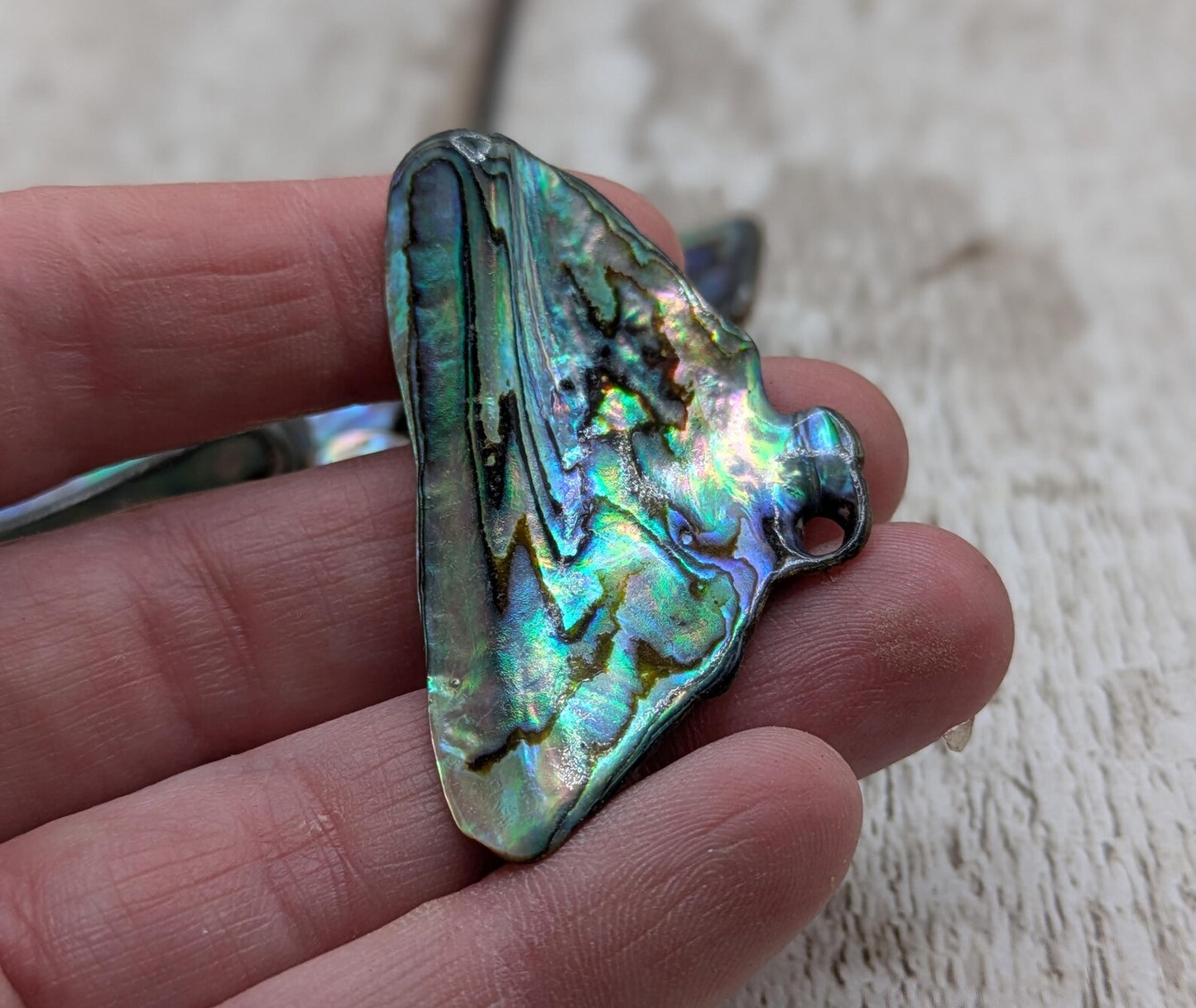 One pouch of New Zealand rainbow Pāua abalone shell odd shapes.