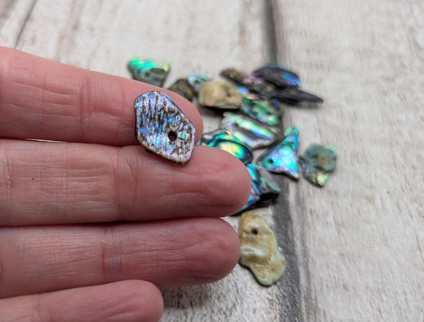 Tiny polished new Zealand rainbow pāua abalone shell beads.
