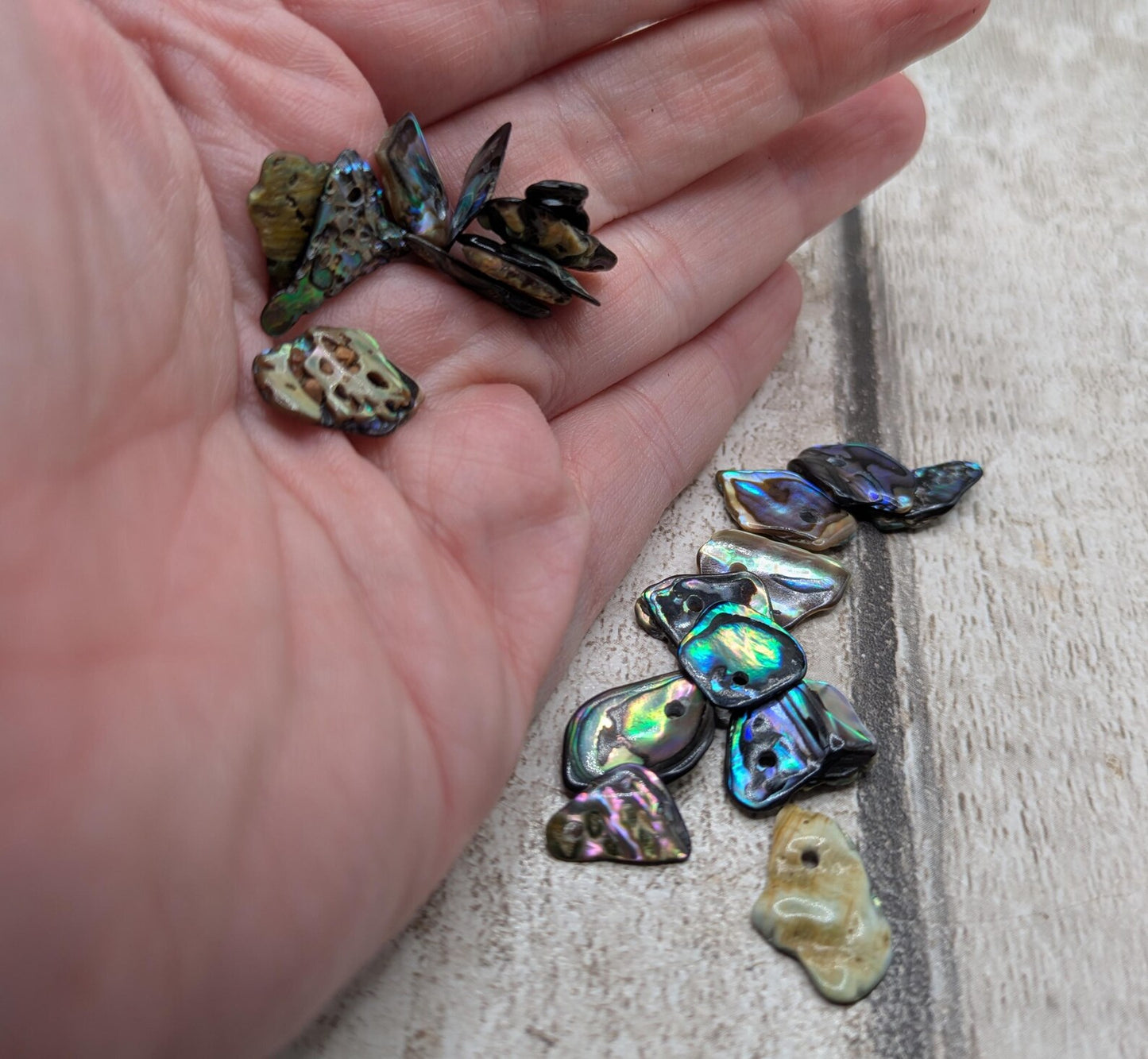 Tiny polished new Zealand rainbow pāua abalone shell beads.