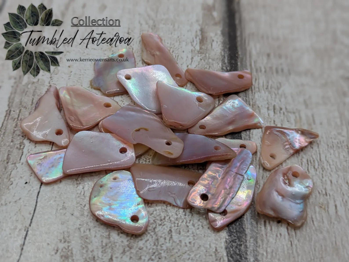 10 New Zealand fresh water mussel shell top drilled beads.
