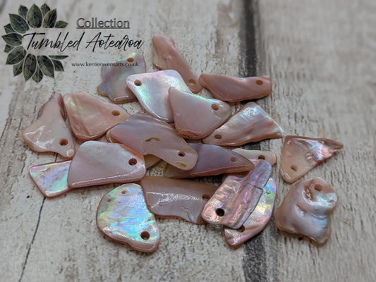 10 New Zealand fresh water mussel shell top drilled beads.