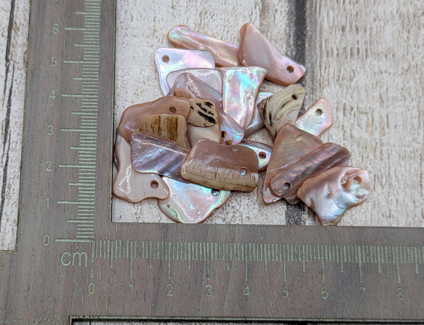 10 New Zealand fresh water mussel shell top drilled beads.