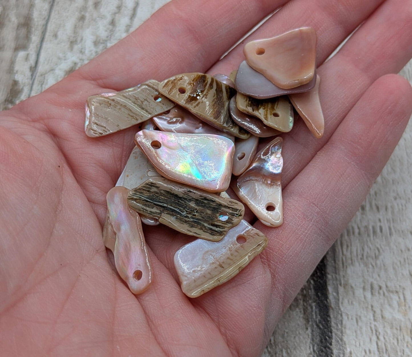 10 New Zealand fresh water mussel shell top drilled beads.