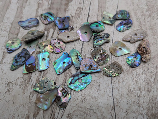 20 Rainbow NZ Pāua Shell Beads – Centre-Drilled Natural Abalone for Jewelry Making & Craft Projects.