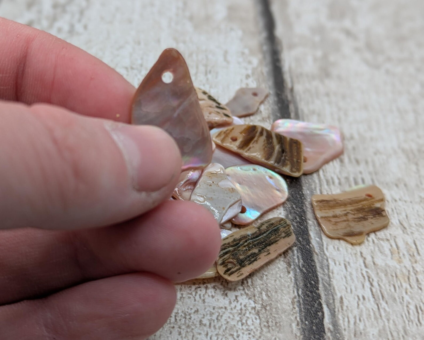 10 New Zealand fresh water mussel shell top drilled beads.