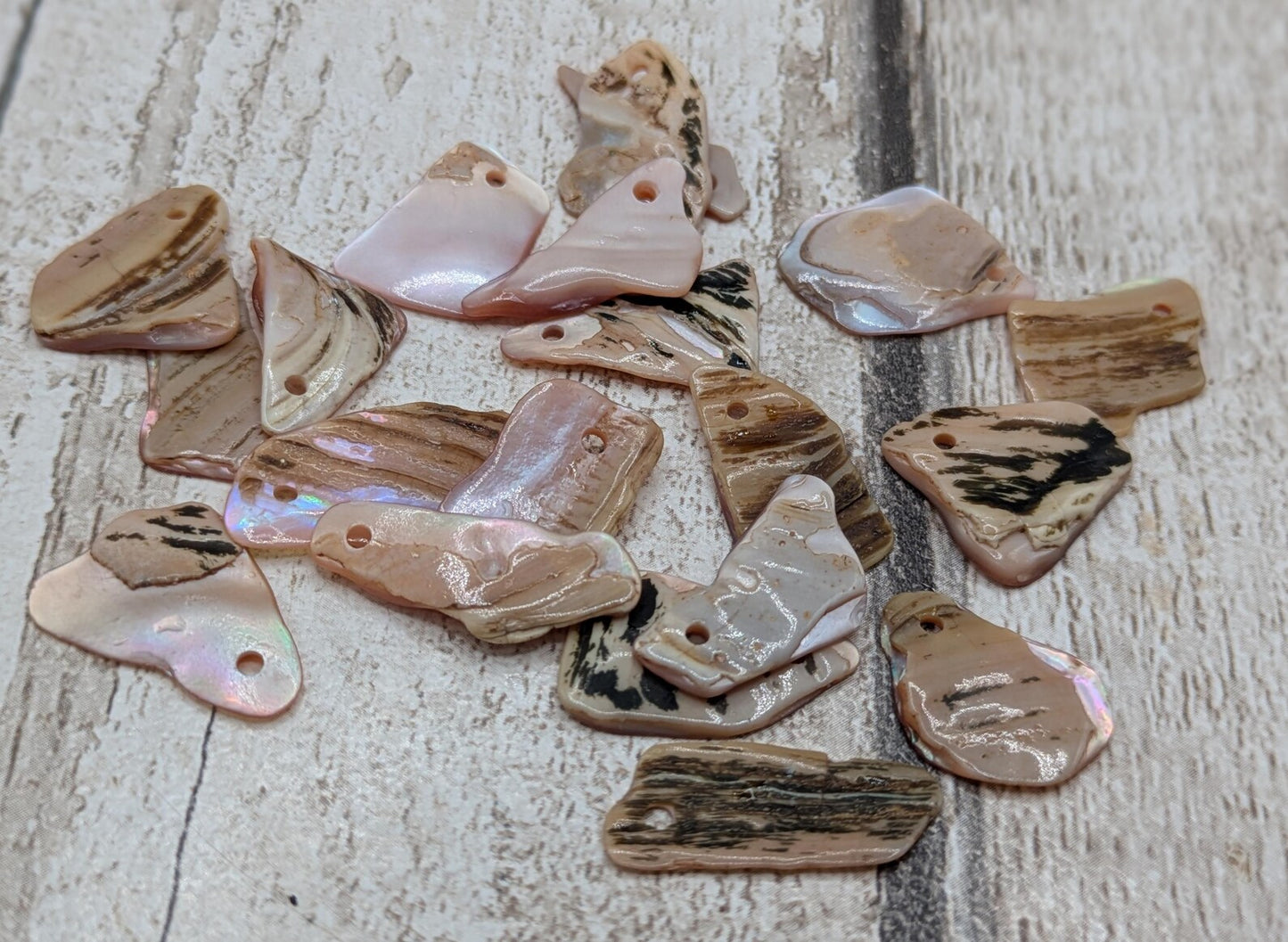 10 New Zealand fresh water mussel shell top drilled beads.